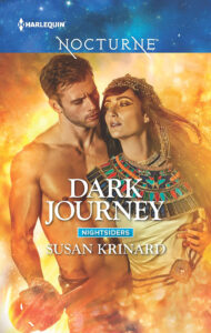 Dark Journey Cover Art