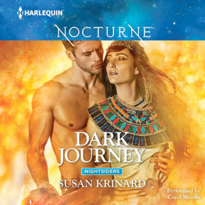 Dark Journey Audio Cover